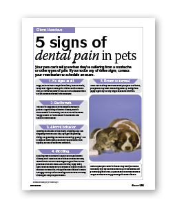 10-17-FiveSigns-of-DentalPainPets