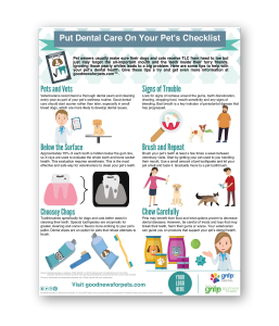 Pet_Dental_Infographic