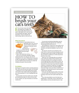 brush_cats_teeth_handout