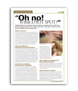 veterinary_handout_hotspot_vs_pustules