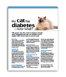 My-Cat-Has-Diabetes