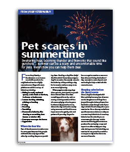 Pet-Scares-In-Summertime