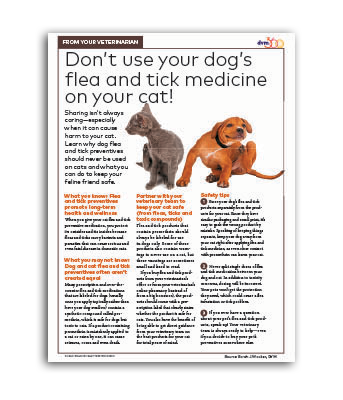 Dont-use-your-dogs-flea-tick-meds-on-your-cat
