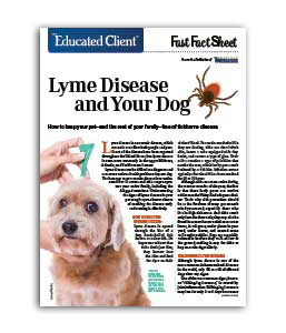 educated-client-lyme-disease-dog
