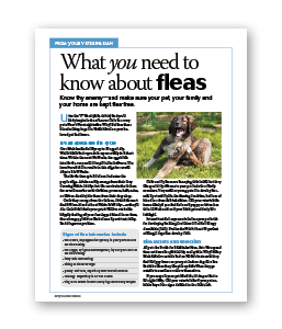 know_about_fleas.