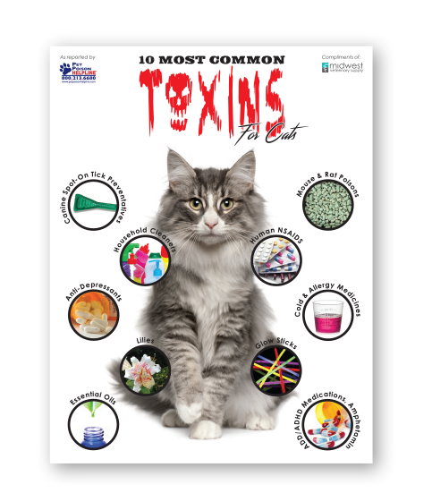 10MostCommonTOXINS-CatsFlyer