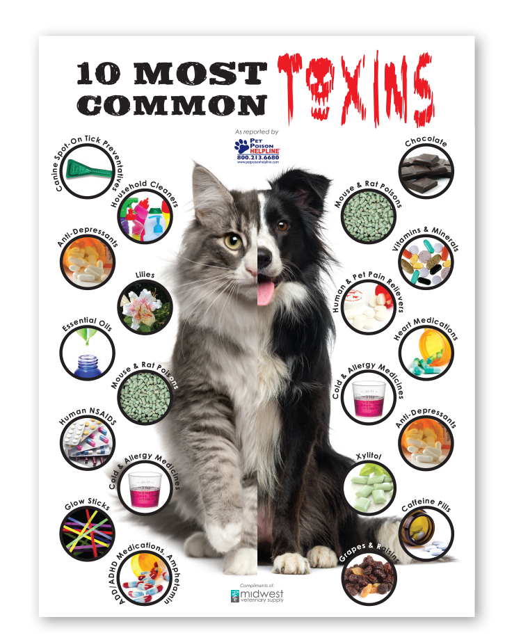 10MostCommonToxins-Poster