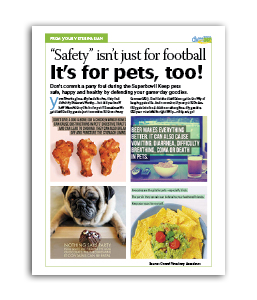 safety-isnt-just-for-football-its-for-pets-too