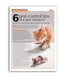 veterinary-handout-pest-control-tips