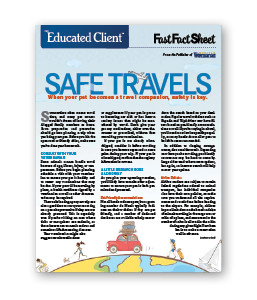 Fast_Fact_Sheet_Safe_Travels