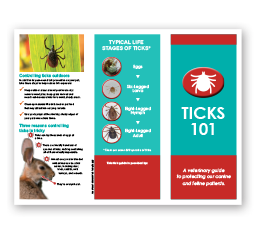 Ticks-101-Tri-Fold-Brochure
