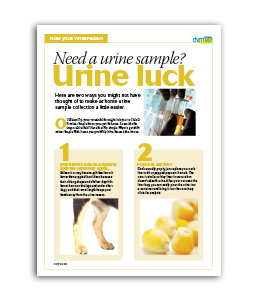 Urine-Luck