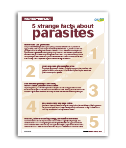 5_Strange-Facts-About-Parasites
