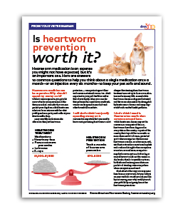 Is_Heartworm_Prevention_Worth_It