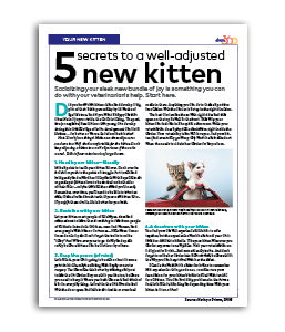 5-Secrets-Well-Adjusted-New-Kitten