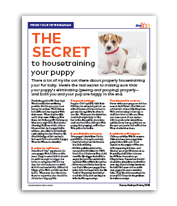 The_Secret_To_Housetraining_Your_Puppy