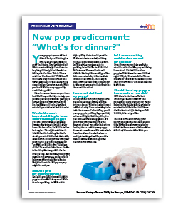 puppyNutrition_whats_for_dinner.