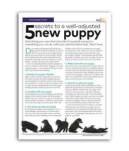 veterinary-handout-new-puppy-socialization