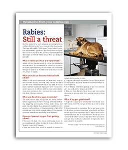 12-17rabies-still-a-threat