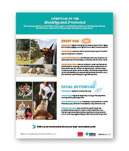 Merck-Animal%20Health-Lifestyle-Vaccine-Recommendation-poster