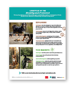 Merck-Animal-Health-Lifestyle-Vaccine-Recommendation-poster