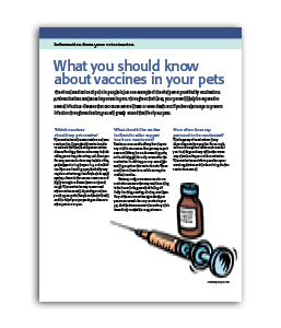 what-you-should-know-about-vaccines-in-your-pets