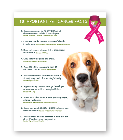 10-16ImportantPetCancerFacts