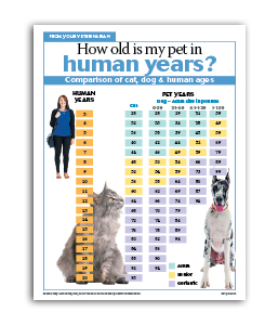 How-Old-Is-My-Pet_In-Human-Years.