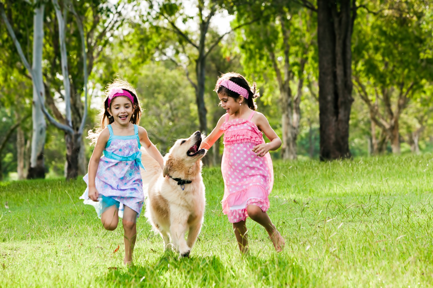 Kids playing in grass with dog