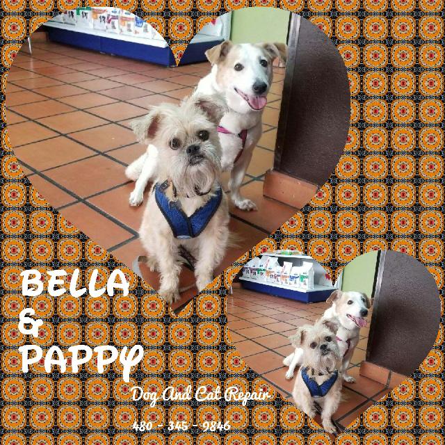 Bella & Pappy