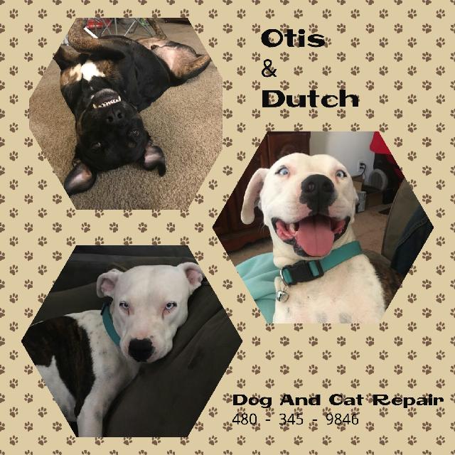 Otis & Dutch
