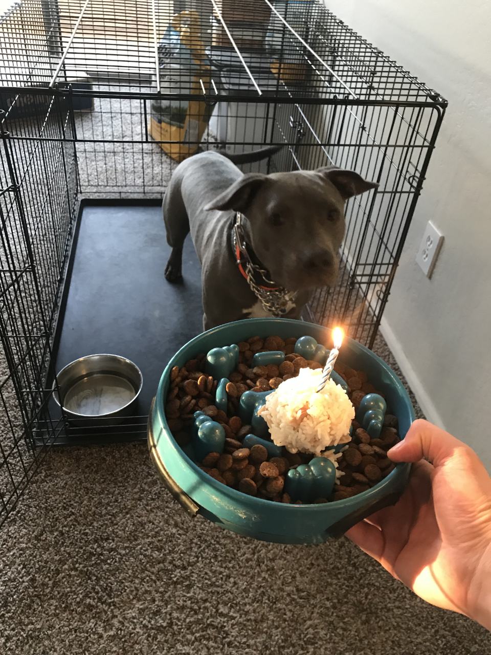 Frank 1st Birthday